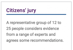 Citizens' jury